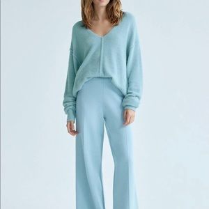 NWT Wilfred Free Relaxed V-Neck Sweater Aritzia Powder Blue